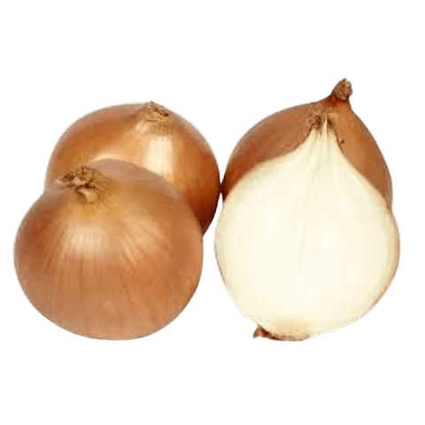 Oignon (BE) BIO